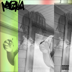 Bitch Please feat. Chuck Gibbs️