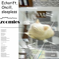 Echorift, Oncill & sleepless - ZOOMIES