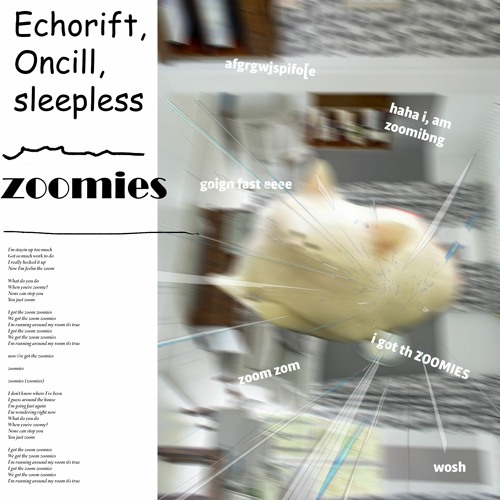 ZOOMIES (with Echorift and Sleepless)