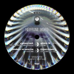 ND019 Various Artists - Vol.9