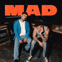 Martin Garrix & Lauv - MAD (DUE Remix)