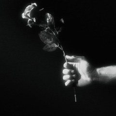 Selles - CAMARIM { DOPE N CHĮ } [Prod:Martinnz X]