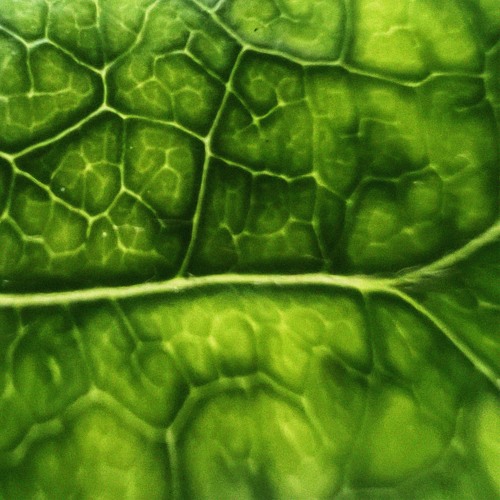 Glass Filter EP