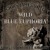 Artwork for 'Wild Blue Euphoria' (Instrumental) - 'Soul & Counterfeit Harmony Album'