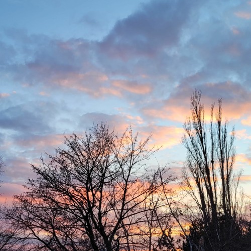 Goldene Abendstimmung im Februar - Golden evening mood in February