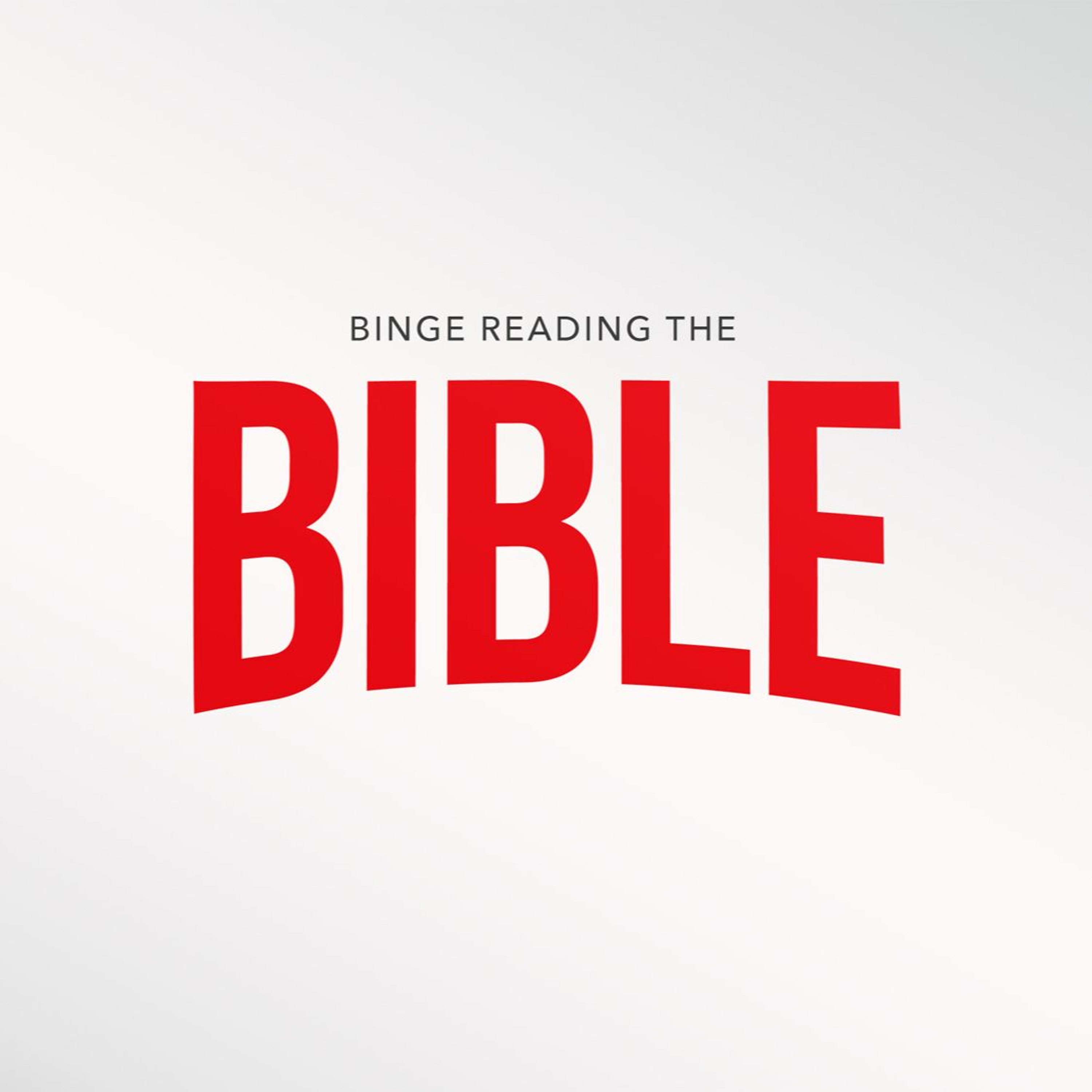 BINGE READING THE BIBLE- The New Testament in 20 Minutes episode artwork