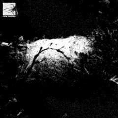 blindage - powerviolence