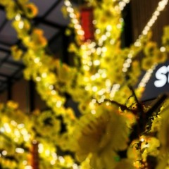 __ 𝕪𝕒 𝟜𝕖𝕧𝕒