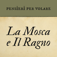 La Mosca e Il Ragno