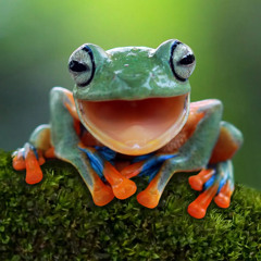 Little Frog (Mike Tomaro -Kendor Music, Inc.)