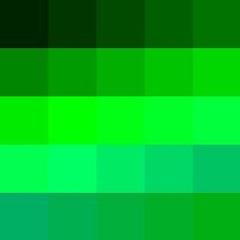 CHLORO-PHYLL