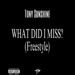 What Did I Miss?(freestyle)