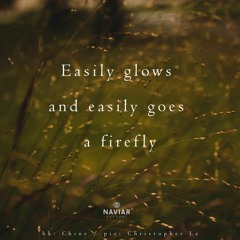 haiku #377: Easily glows / and easily goes / a firefly