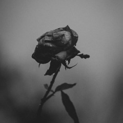 Inner Feels (prod. visa)
