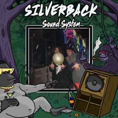 DNB // OLLY N DERMIT B2B - SILVERBACK SUNDAY SESSIONS