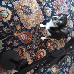 Make This Work feat. Rachel Walker