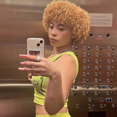 Princess Diana Remix