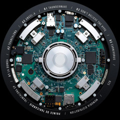 Premiere: B1 - Prince De Takicardie - Thunderwave [MULENV025]