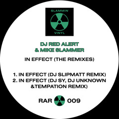 In Effect (DJ Sy, DJ Unknown & Temptation Remix)