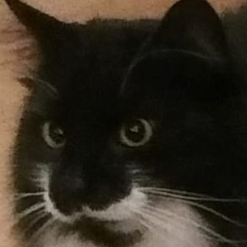 ALEPH - STILL LIFE [RECONSTRUCTED] HIFI MIX v32 [2021]