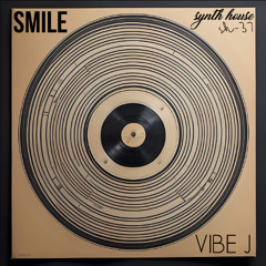 VIBE J - me [Synth House Records]