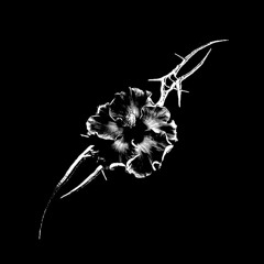 Kasabian - Call (DaxNote Remix)