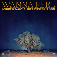 Wanna Feel