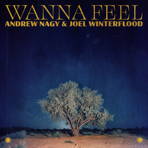 Wanna Feel