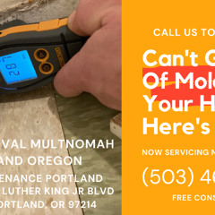 Mold Removal Multnomah Portland Oregon - Pure Maintenance Portland - 503-461-1006