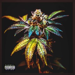 JohnBlaiZ - Sous Kush🍃💯