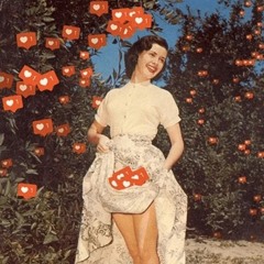 Meshuga Feat Rakkadelic - Kollektiv zerstört