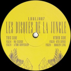 FSK24 - Atom Confusion EP (LDDLJ007)