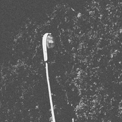 jess took this photo