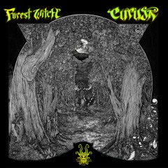 Curuja - Forest Witch