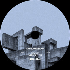Vicaps - Chromosom [PC018]