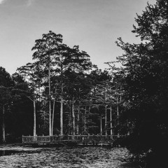 and the skies parted