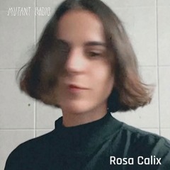 Rosa Calix [03.05.25]