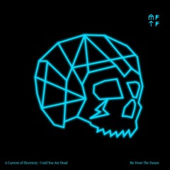 Until You Are Dead (Rakes Remix)