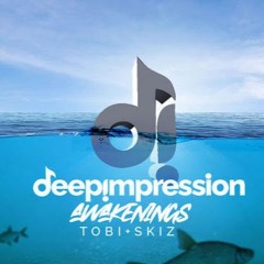 Skiz - Deepimpression Awakening Vol. 10