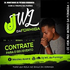 36 MIN. = PUTARIA CRIMINOSA NO BAILE DA FORMIGA [[ DJ WL DA FORMIGA ]] TROPA DA PARMA 2024