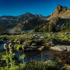 Valhalla Part 1. The Fields Outside Valhalla