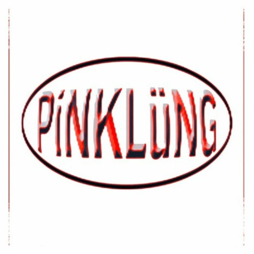 PINK LÜNG - LEAVE THE GARAGE OPEN