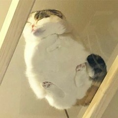 곽진언, 존박-빗속에서