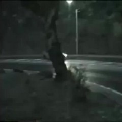 本田TADAKATSU - MAGNETOL