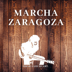 Marcha Zaragoza