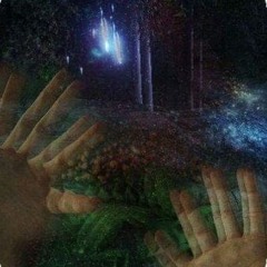 dj wilted