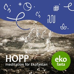 HOPP meditation för Ekofastan