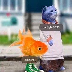 catfight + zxtr - broken nose (╥‸╥) (wegonbeok) #gasp