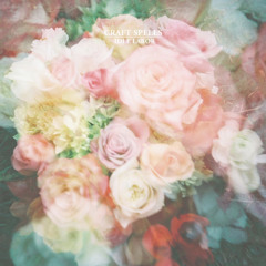 Beauty Above All