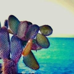 SPINES (Archived Tapes)